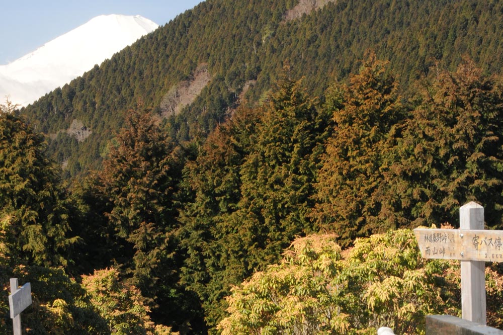 シダンゴ山・宮地山ハイキングコース