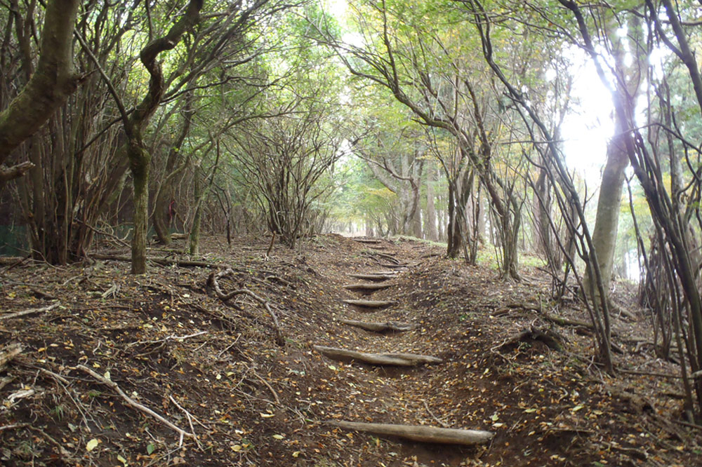 高松山ハイキングコース